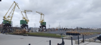 IMG_20260326_121828766