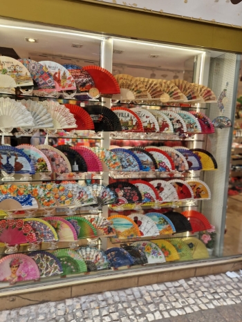 fd5bfd43-61ae-456b-857b-fad97283f58c.JPG