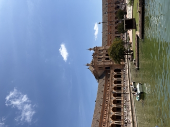IMG_3546.JPG