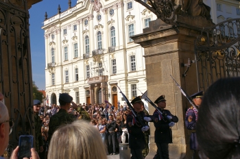 IMGP0371