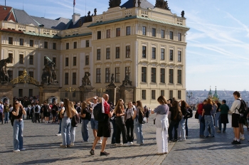 IMGP0358