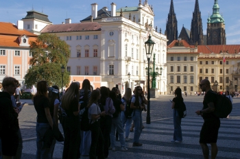 IMGP0353