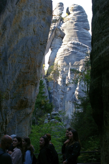 IMGP0335