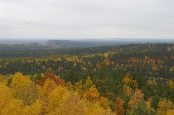 IMGP0538