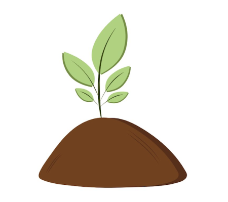 Green School Activities Ekologiczne działania uczestników projektu